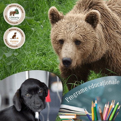 Asociația Milioane de Prieteni