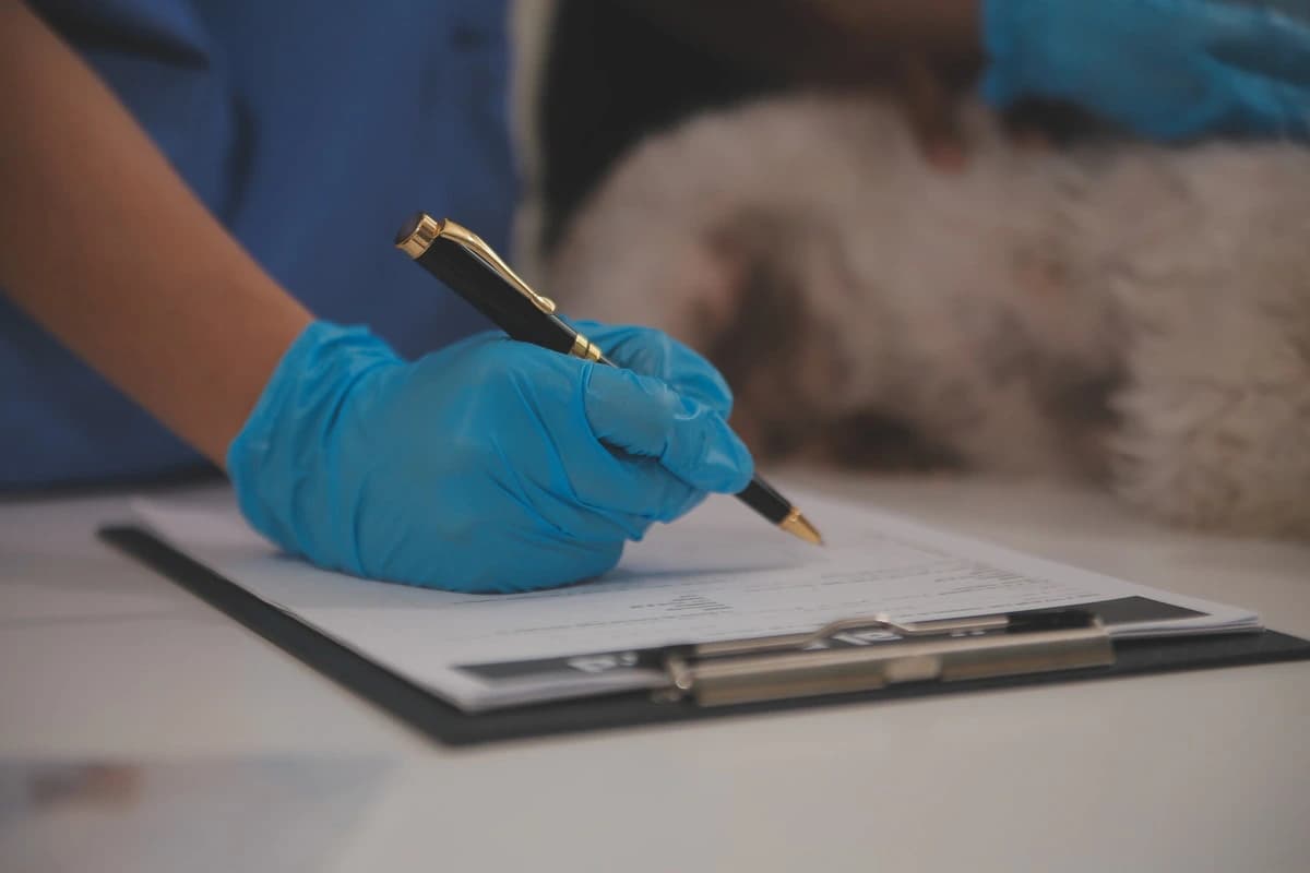 Cabinet veterinar – Ce acte sunt necesare pentru un animal de companie în România